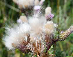 Fotografie und Bildbearbeiung